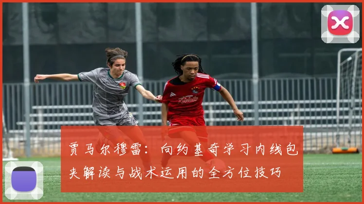 贾马尔穆雷：向约基奇学习内线包夹解读与战术运用的全方位技巧