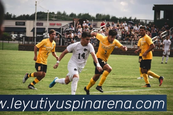 乐鱼体育平台生态图