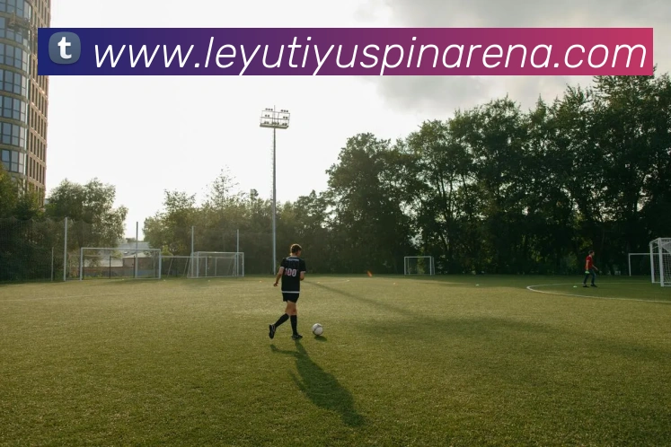 乐鱼体育全站App