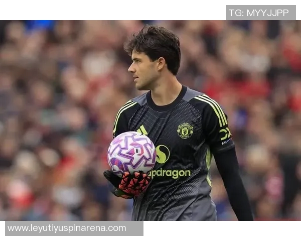 舒梅切尔赞拉门斯年轻却成熟表现出色攻防转换果断带来安全感